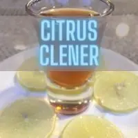 citrus-cleaner-for-bearings